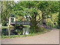 The suspension bridge: Wardown Park, Luton in LU2 7PX