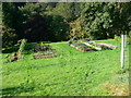 Vegetable plot, Pandycoed in SY10 0JN