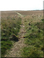 Path across harvested field in Happisburgh