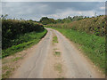 Narrow lane to Llanwarne from Pencoyd in HR2 8NH