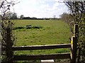 Towards Ringsfield Road in St. Andrew, Ilketshall