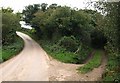 Lane south of Hartland in EX39 6EY