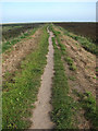 North on the Peddars Way/Norfolk Coast Path in NR25 7RZ