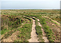 The Peddars Way/Norfolk Coast Path in NR25 7RZ