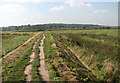 Peddars Way/Norfolk Coast Path through Fresh Marshes in NR25 7RZ