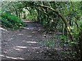 Footpath towards Wordesley, West Midlands in DY8 5JH
