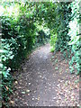 Footpath to Holt Castle in LL13 9YF