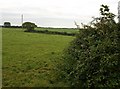 Field and hedge, Smythacott in EX38 8JZ