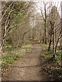 Footpath, Nowton Park in IP29 5LU