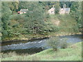 River Nith near the bridge to Drumlanrig in DG3 4AG