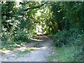 Looking south along a track west of Littledown in SP11 0LB