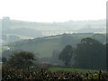 Uplyme: fields of Holcombe in DT7 3SN