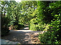 The Glade, towards Brockley Grove in CM15 8JD