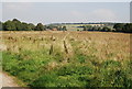 Footpath across a field south of the River Stour. in CT4 7TH