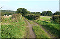 Footpath across fields near Lawns Wood in Staffordshire in DY7 5QN