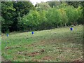 Pheasant feeders, Church Copse in SP5 1AN