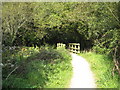 Footbridge in Loe Valley in TR13 0SB