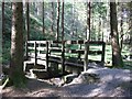 Footbridge over Garw Fechan, Garw Forestry Walk in CF32 8BX