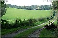 Track to Frilsham Park in RG7 6DX