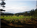 View Along Great Glen from Strath Dores in IV2 6DP