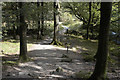 Path through Bannerigs Wood, Rydal in LA22 9SQ