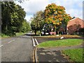 Autumn colour, Cockburn Crescent, Balerno in EH14 7LT