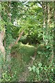 New path off the bridleway in Aston Tirrold
