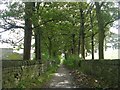 Footpath - St Peter's Avenue, Sowerby in HX6 1DB