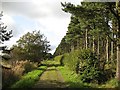 Track, Selm Muir Wood in EH27 8DQ