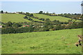 2008 : Pasture in the valley, near Paulton in BS39 7PU