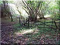 Footpath, Thornycombe Wood in SP11 0LD