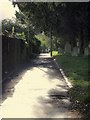 Path, St David's churchyard, Exeter in EX4 4TH