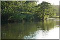 River Avon near Pershore in WR10 3HB