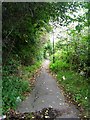 Footpath by Railway Line - Potovens Lane in WF1 3HQ