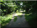 Path junction at Malvern Common in WR14 3HS