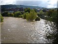 Severn in spate, Newtown in SY16 1YY