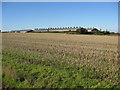 Footpath View of Farm Buildings in S44 6DW