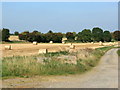 2008 : Harvested field near Northwood Farm in SN14 8QZ