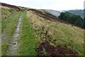 Track towards Mynydd y Capel in CF46 6UF