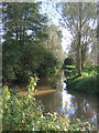 River Gipping, looking downstream in IP6 8QG