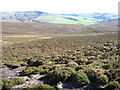 Hillside of The Knott towards Kinder in SK22 2NR