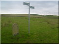 Rochdale Boundary Stone in OL12 9DP