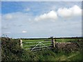 Little used field gate in LL63 5SZ
