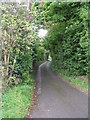 Lamb Springs Lane - Hollins Hill in BD17 7QW