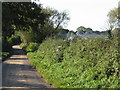 Naked polytunnels off Wickton Court Lane in Ford and Stoke Prior