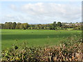 Fields of the Lugg Valley in HR6 0NB