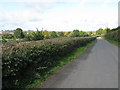 The lane between Stoke Prior and Leominster in HR6 0NB
