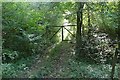 Woodland path in SP11 0LD