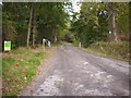 Forestry Road to Raelees Wood. in TD7 5LZ