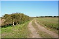 Field track beyond a little-used farm store at Hinxton in CB10 1RA